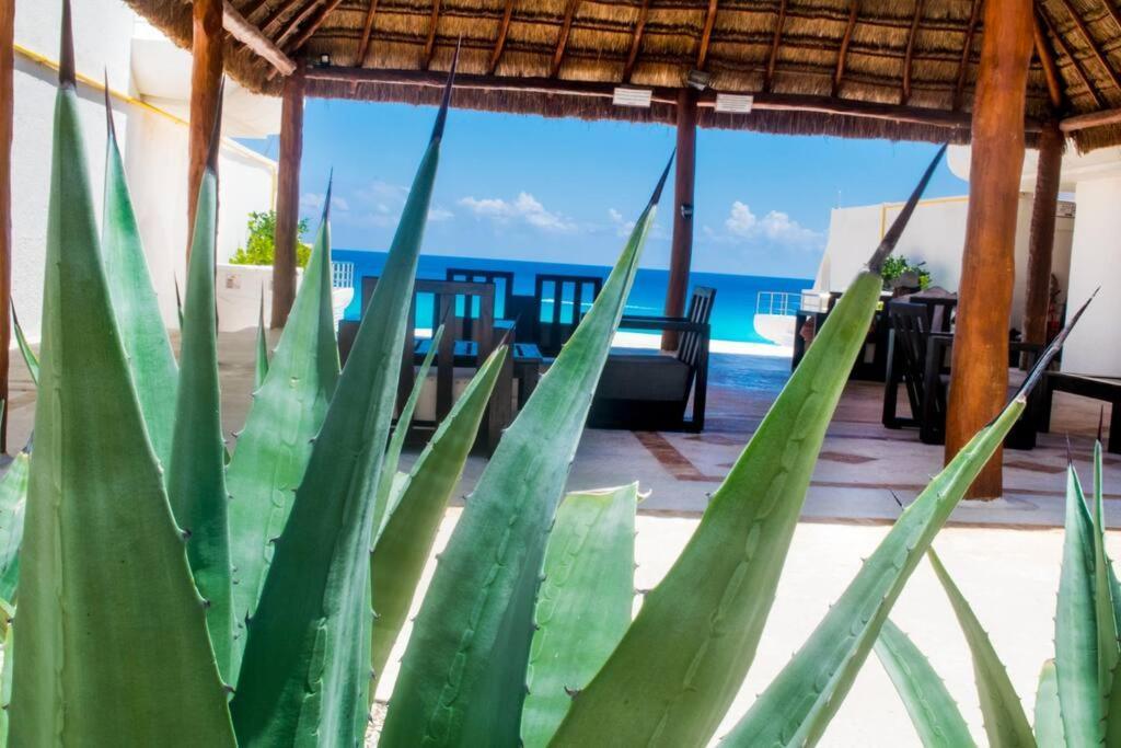 Ocean Front Villa Marlin, Best Location In Hotel Zone #109 Cancún Buitenkant foto